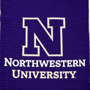 personalized hand knotted rug to celebrate your loved one's graduation columbia university